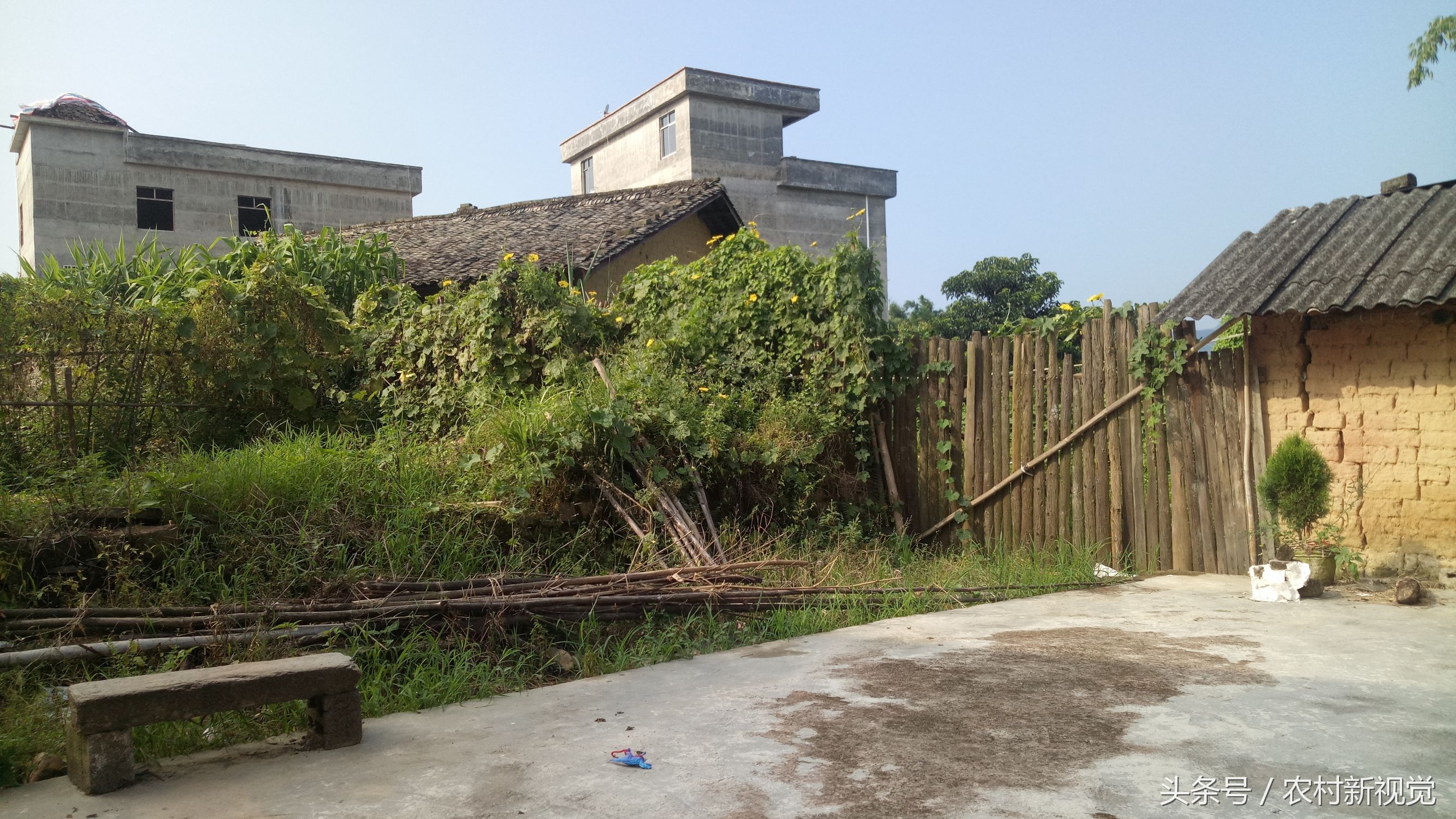 小米5x处理器,小米5x用什么测性能