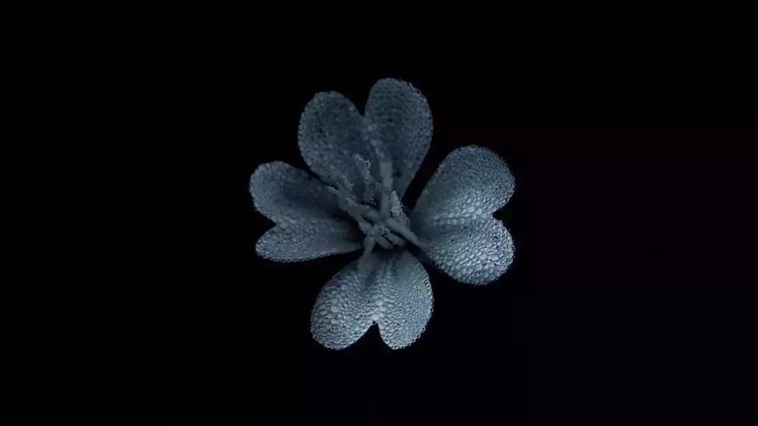 如何打造高级黑色背景直播间,1分钟学会打造高级灰效果