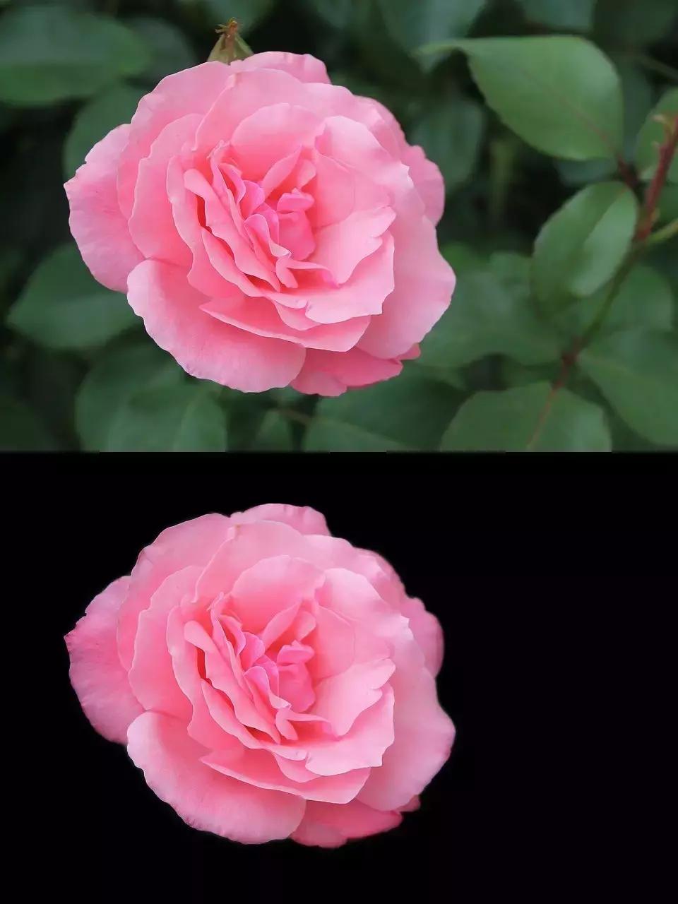 如何打造高级黑色背景直播间,1分钟学会打造高级灰效果