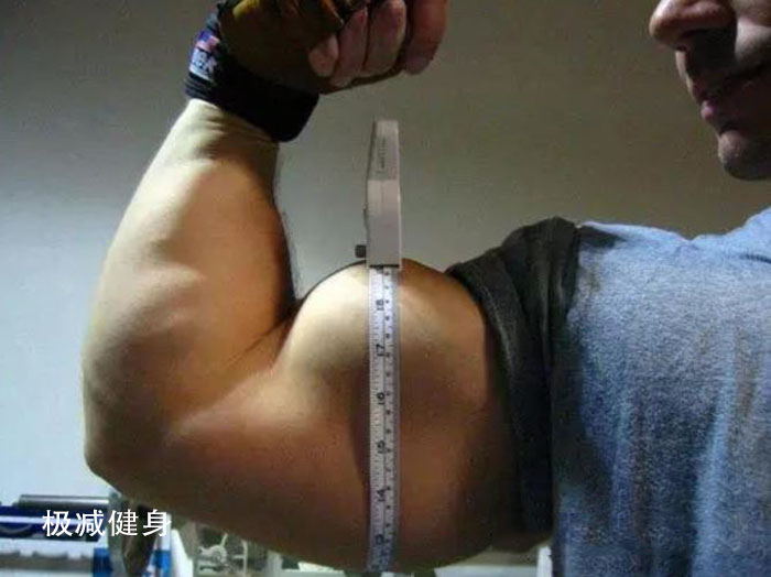 健身新手练胳膊线条,30分钟有氧健身操瘦大肚腩粗手臂