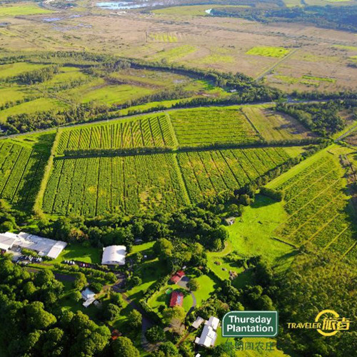 澳洲星期四农庄茶树祛痘凝胶真假,澳洲星期四农庄茶树祛痘凝胶旧版