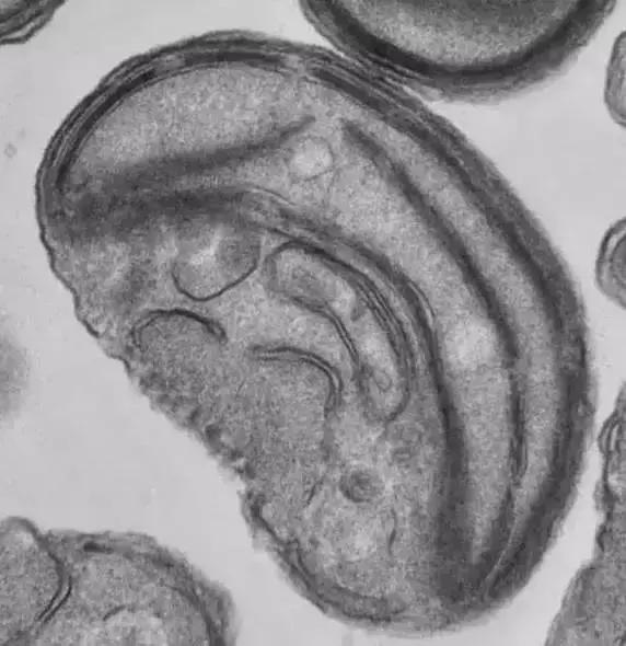 在宇宙的年历中，我们的存在连半秒钟都不到！