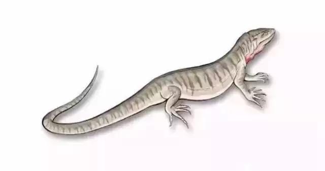 在宇宙的年历中，我们的存在连半秒钟都不到！