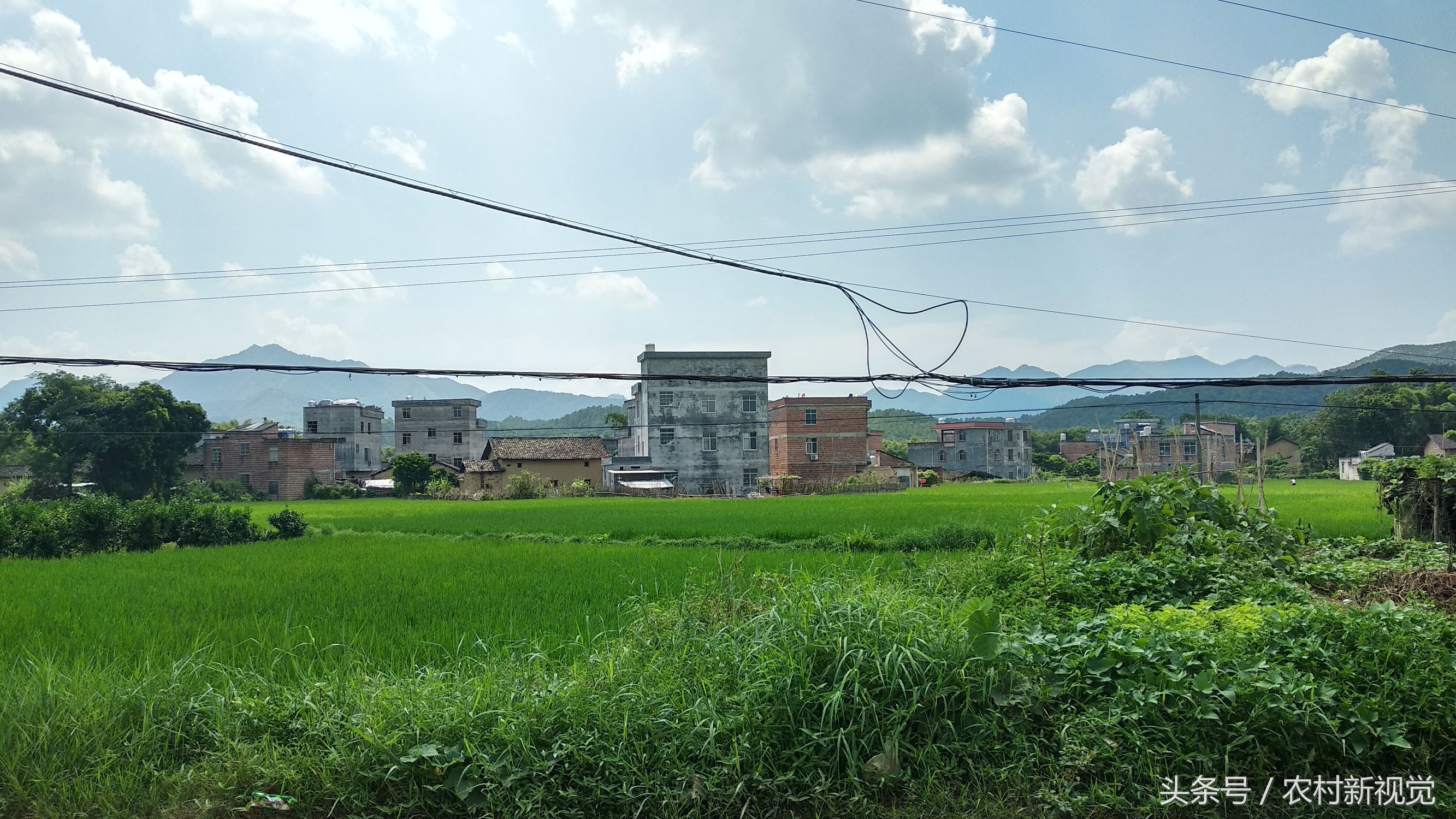 小米5x处理器,小米5x用什么测性能