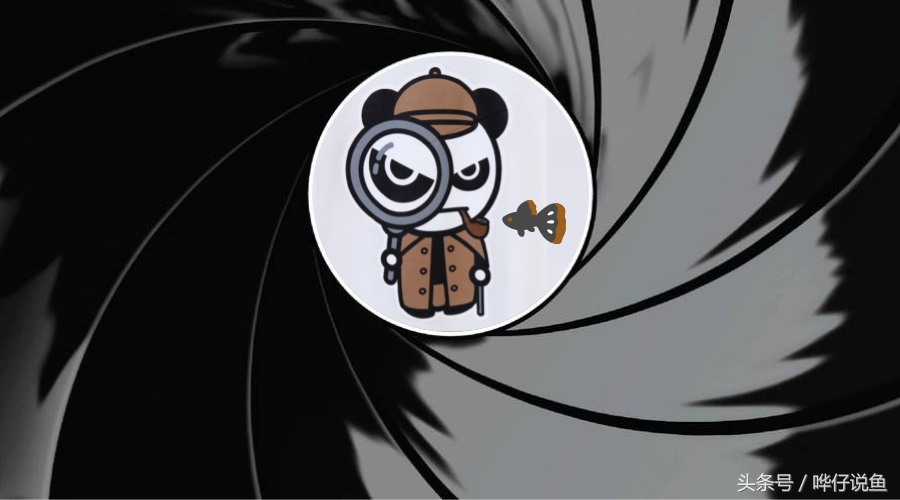 养锦鲤鱼不死鱼的三个绝招,养金鱼不死鱼的三个绝招视频