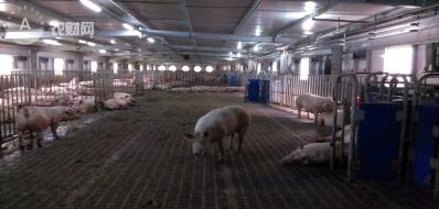 广东十大名牌美食节,广东美食推介活动