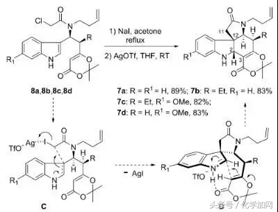 云南大学：复杂天然产物(-)-Vindorosine的全合成