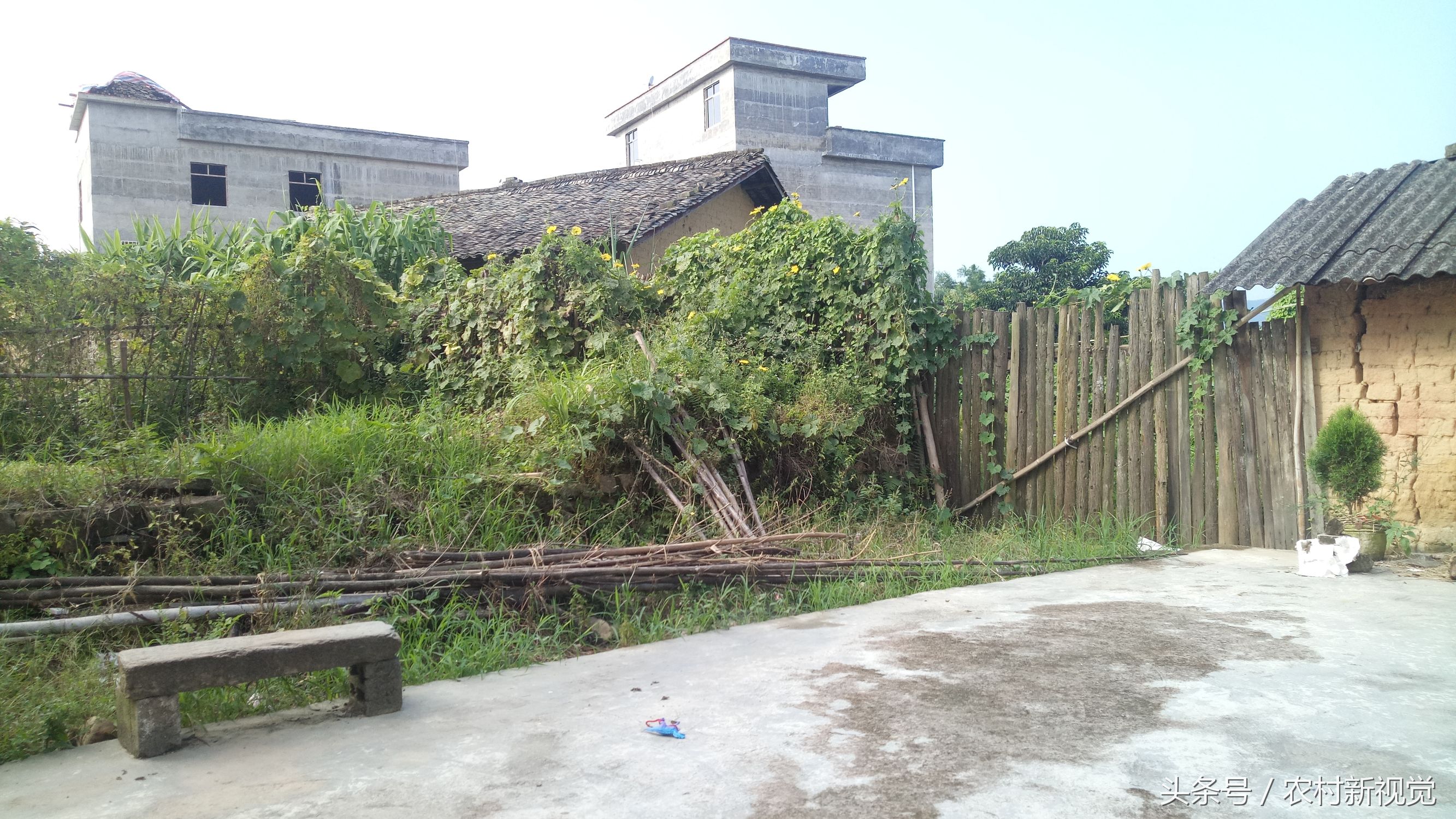 小米5x处理器,小米5x用什么测性能