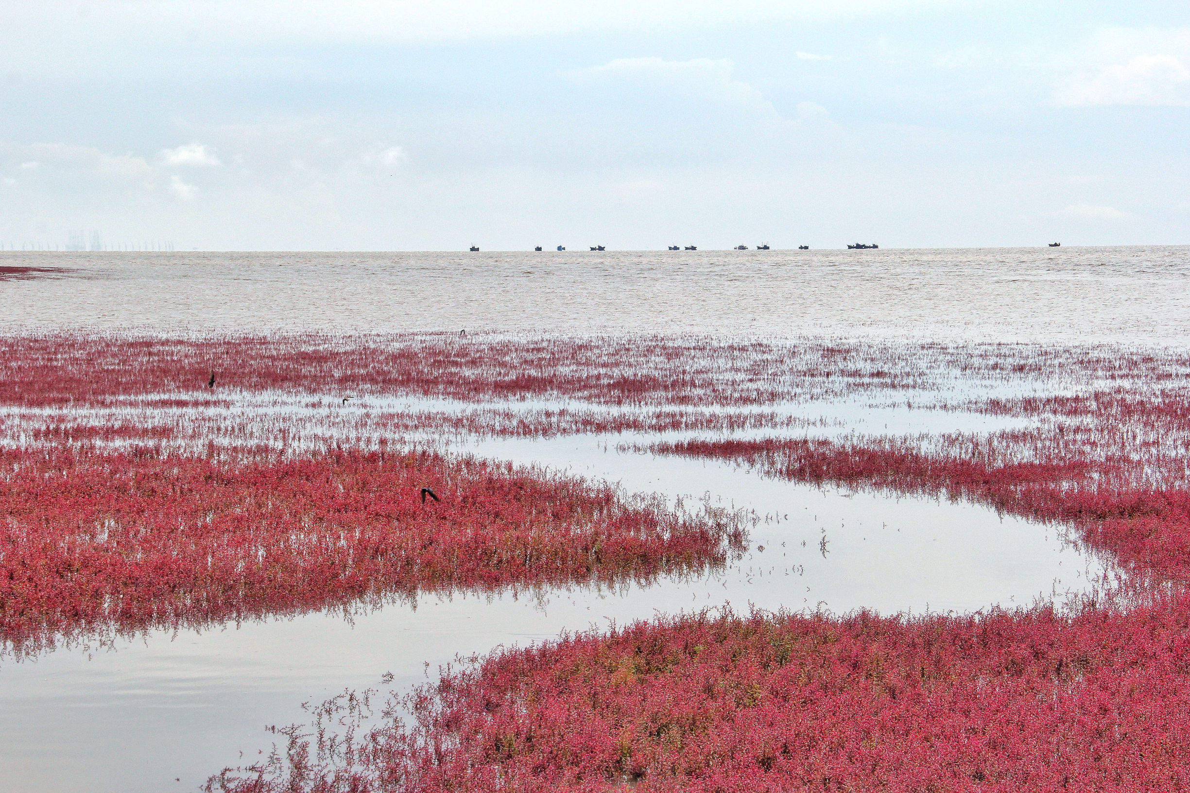 他说他想去看北方的海，我说“好”！