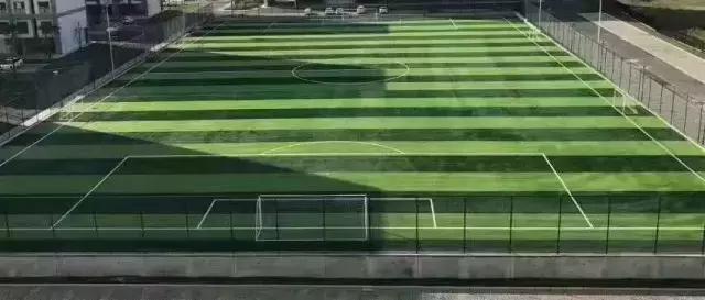 看看别人家的公司！实力与颜值并存！这些光谷公司幸福感爆棚了~