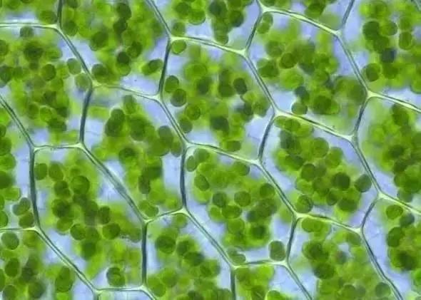 在宇宙的年历中，我们的存在连半秒钟都不到！