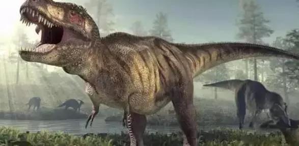 在宇宙的年历中，我们的存在连半秒钟都不到！