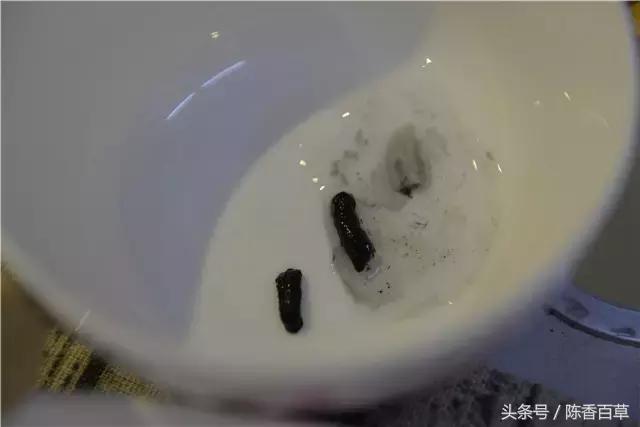 墨汁能做什么,墨汁能做什么小吃