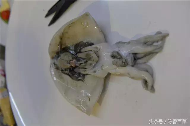 墨汁能做什么,墨汁能做什么小吃