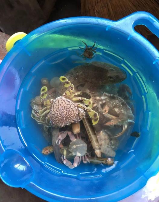 一家三口去鲅鱼圈多少钱,一家三口去大连旅游怎么样