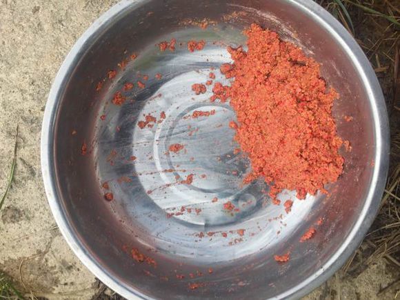 上班绑鱼钩，午休去钓鱼，因为工作耽搁了钓鱼，太不值！