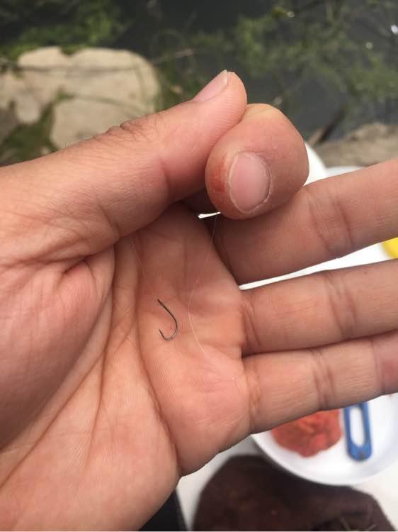 上班绑鱼钩，午休去钓鱼，因为工作耽搁了钓鱼，太不值！