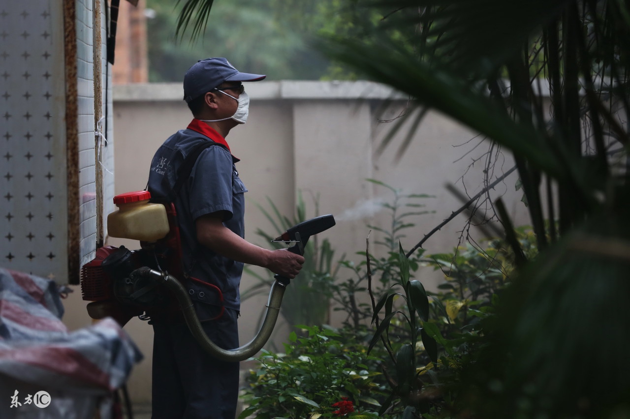 登革热引发惊慌,请收好这份登革热科普知识