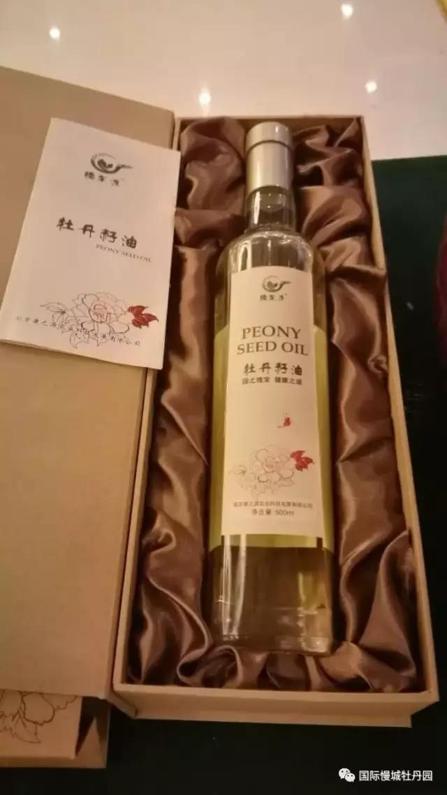 专业角度看凤丹各器官特点，带你全面科学认识高淳四宝-白牡丹