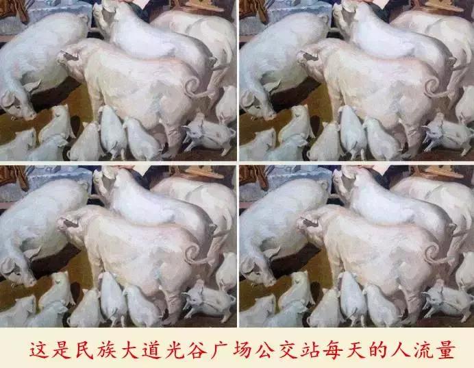 武汉光谷程序员采访,武汉光谷软件园程序员的日子