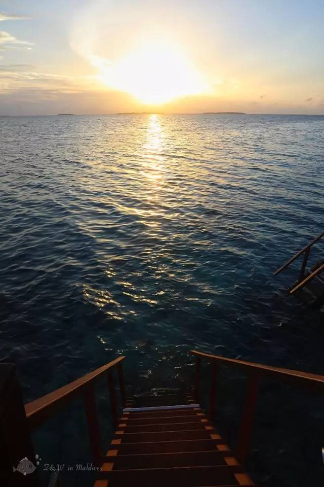 马尔代夫真的值得去吗,去马尔代夫的真实感受