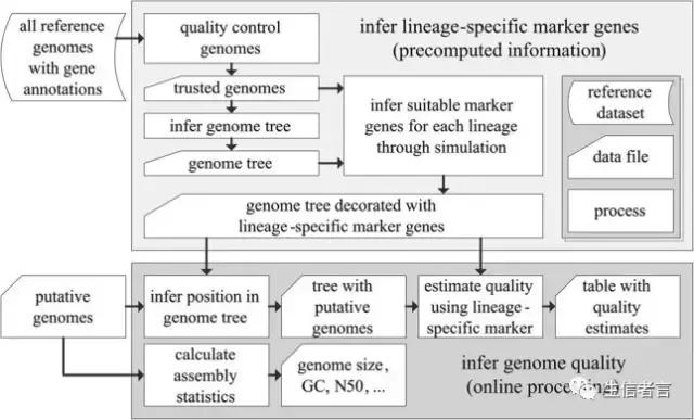 宏基因组多样性,宏基因组的binning分析是什么