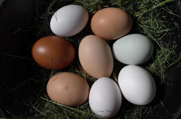 华为徕卡镜头和普通镜头的区别,华为p40pro镜头是徕卡吗