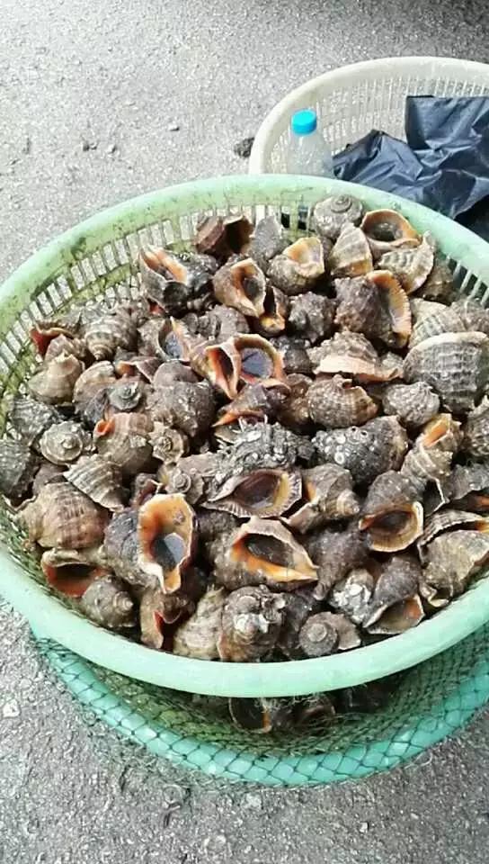 有一种炫富叫开海了,天津炫富视频