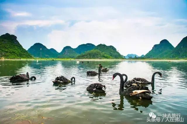 从佛山坐高铁到普者黑从哪进站,佛山西怎么坐高铁到普者黑