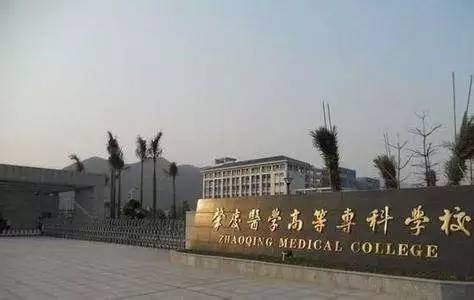 来肇新生看过来，这份交通指引能帮你大忙！