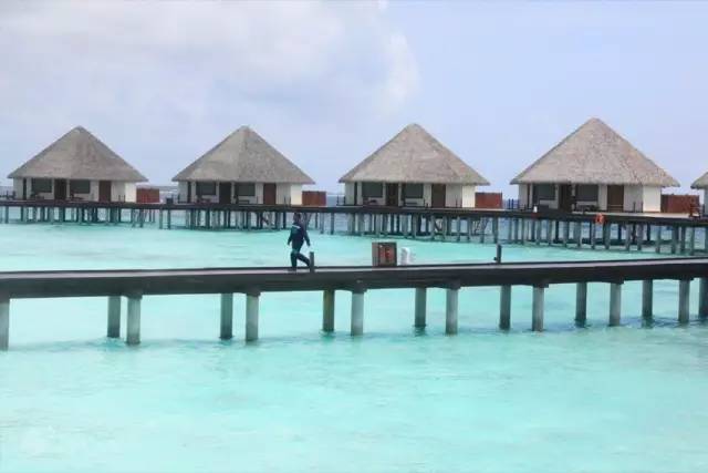 马尔代夫真的值得去吗,去马尔代夫的真实感受