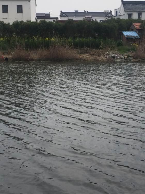 上班绑鱼钩，午休去钓鱼，因为工作耽搁了钓鱼，太不值！