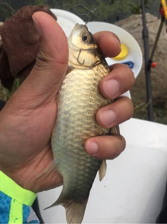 上班绑鱼钩，午休去钓鱼，因为工作耽搁了钓鱼，太不值！