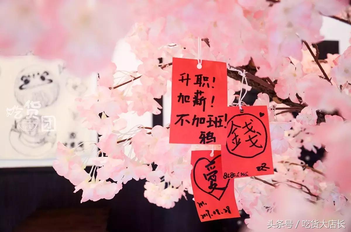 开在樱花树里的抹茶店，被这只兔子绿了也心甘情愿！