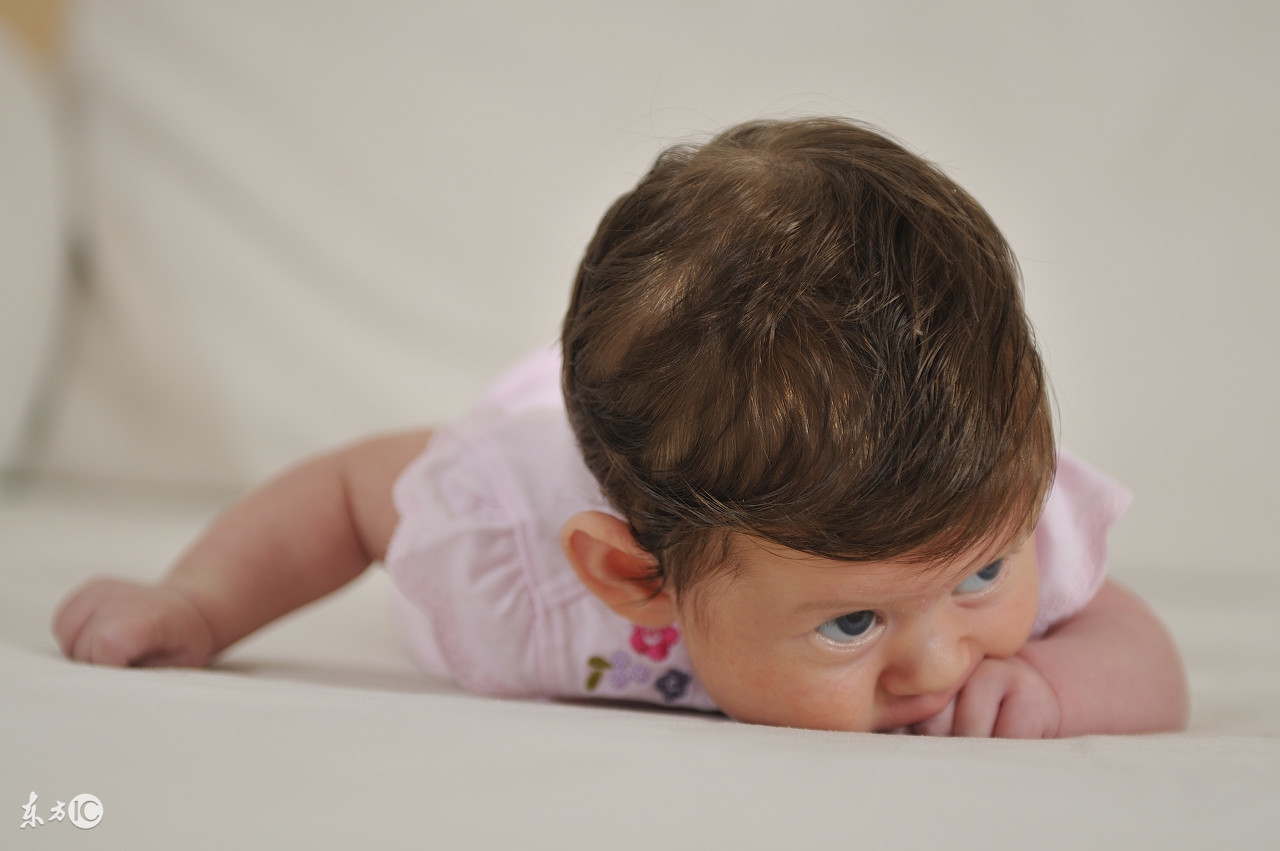 登革热引发惊慌,请收好这份登革热科普知识