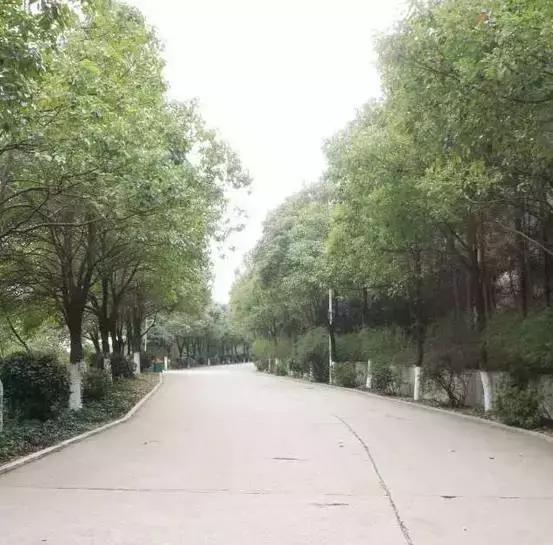 长沙民政学院一所来了就不想走的大学