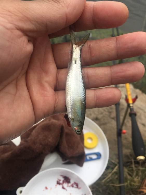 上班绑鱼钩，午休去钓鱼，因为工作耽搁了钓鱼，太不值！