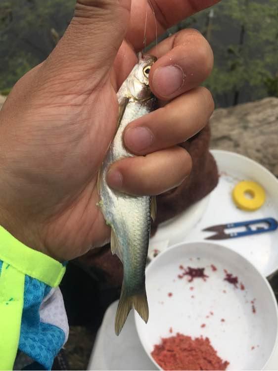 上班绑鱼钩，午休去钓鱼，因为工作耽搁了钓鱼，太不值！