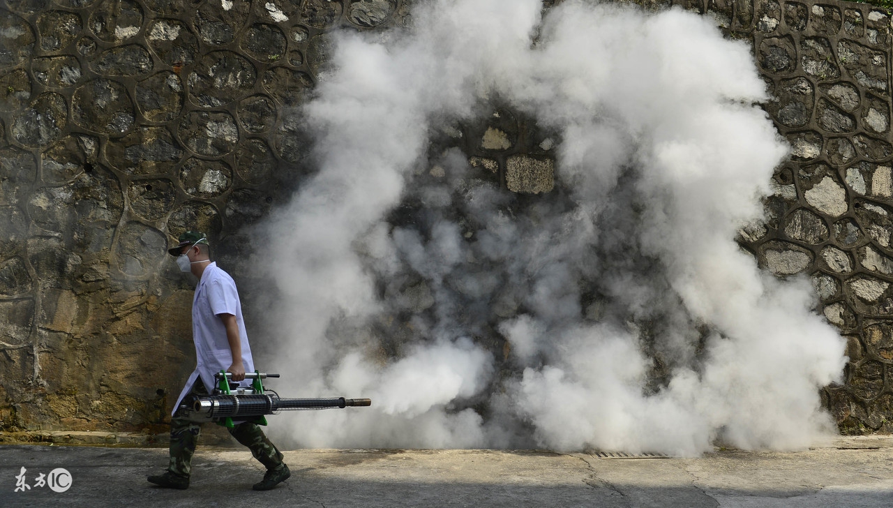 登革热引发惊慌,请收好这份登革热科普知识