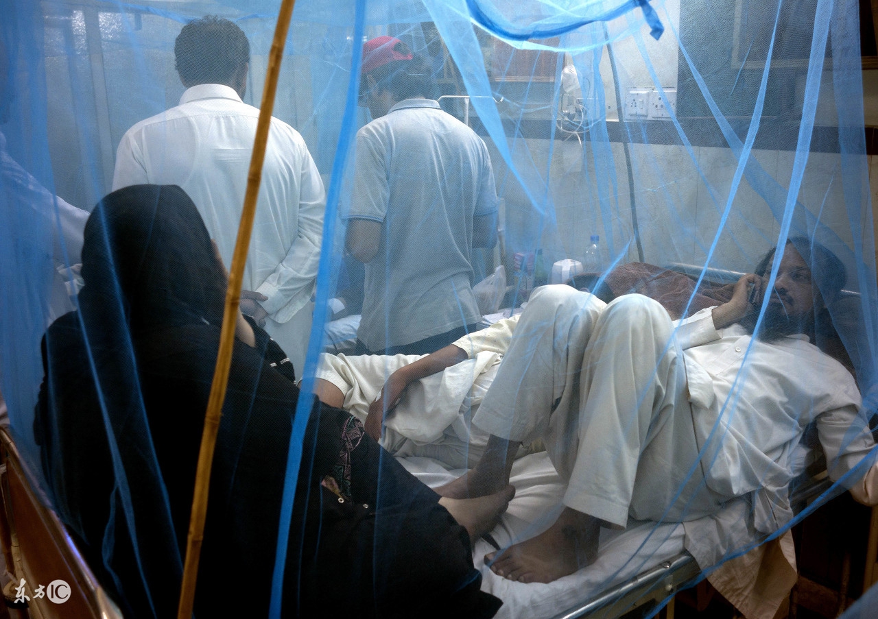 登革热引发惊慌,请收好这份登革热科普知识