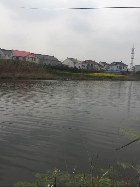 上班绑鱼钩，午休去钓鱼，因为工作耽搁了钓鱼，太不值！