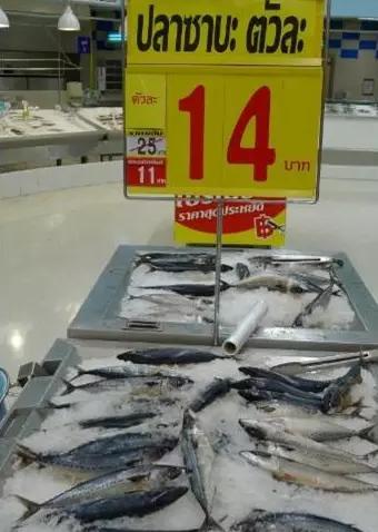 100万人民币去泰国能过什么样生活 (100元人民币在泰国能换多少钱)