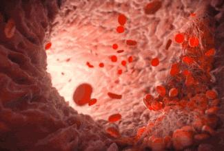 株洲市中心医院全国排名,株洲中心医院全国排名