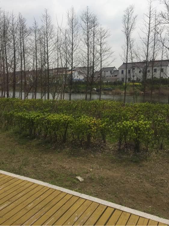 上班绑鱼钩，午休去钓鱼，因为工作耽搁了钓鱼，太不值！