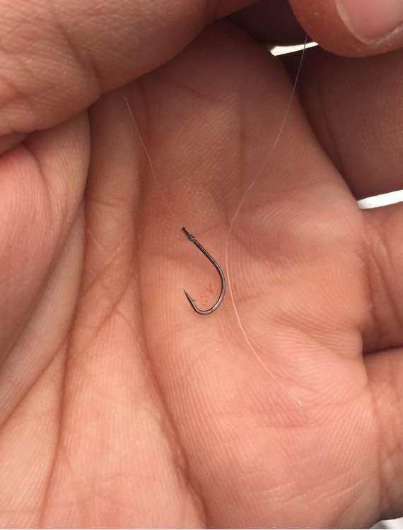 上班绑鱼钩，午休去钓鱼，因为工作耽搁了钓鱼，太不值！