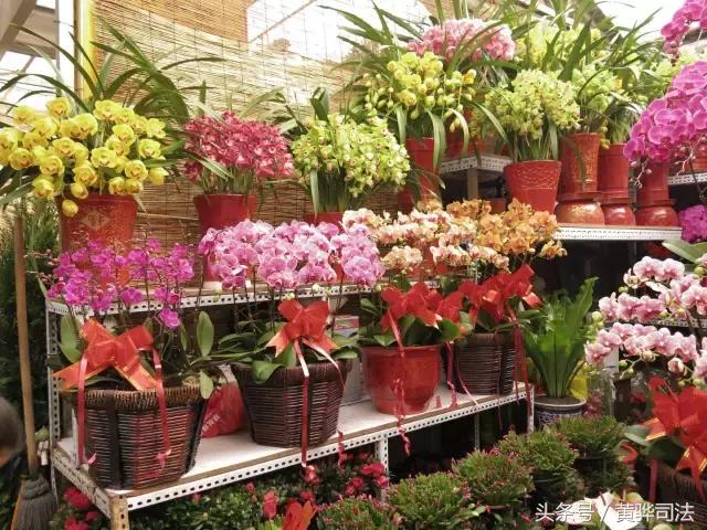 命苦它是北京最冤的一个区