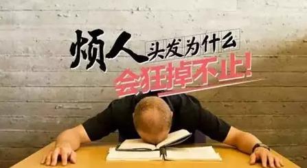 头发油脱发严重怎么治疗才有效,头发隔一夜就很油了还脱发