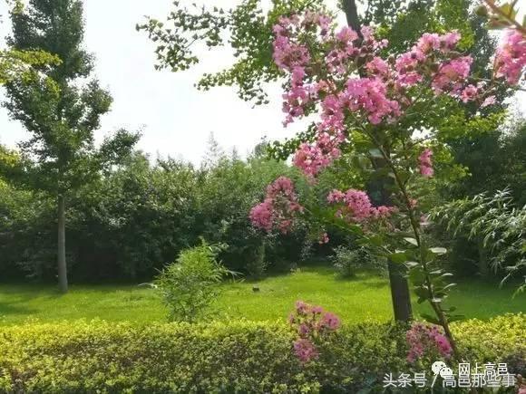 高邑今天的事,高邑那些事