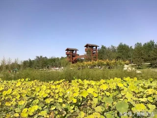 命苦它是北京最冤的一个区