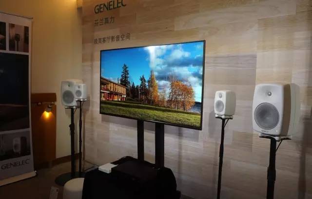 芬兰真力音箱,真力音箱型号经典